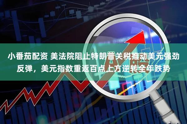 小番茄配资 美法院阻止特朗普关税推动美元强劲反弹，美元指数重返百点上方逆转全年跌势
