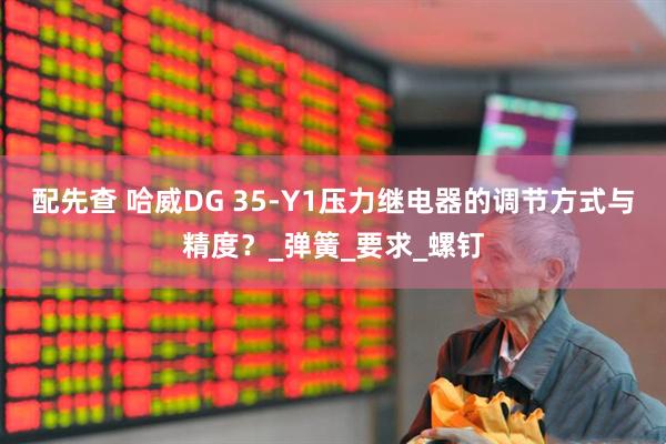 配先查 哈威DG 35-Y1压力继电器的调节方式与精度？_弹簧_要求_螺钉