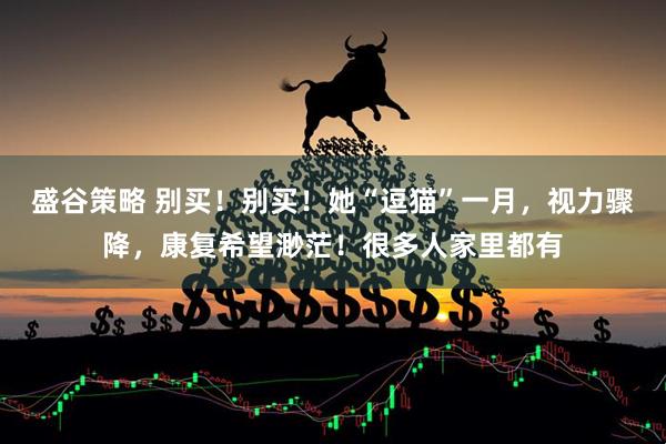 盛谷策略 别买！别买！她“逗猫”一月，视力骤降，康复希望渺茫！很多人家里都有