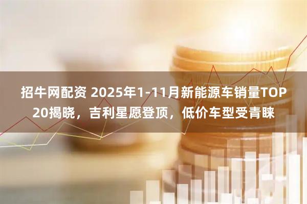 招牛网配资 2025年1-11月新能源车销量TOP20揭晓，吉利星愿登顶，低价车型受青睐