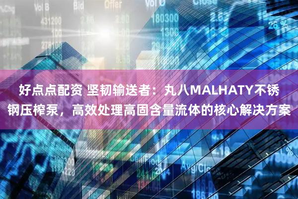 好点点配资 坚韧输送者：丸八MALHATY不锈钢压榨泵，高效处理高固含量流体的核心解决方案